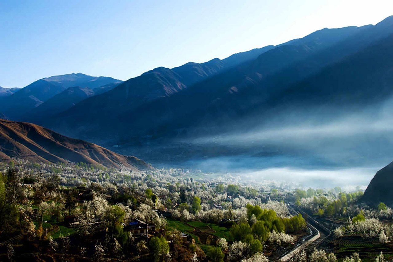 坪山特色露营团建活动方案