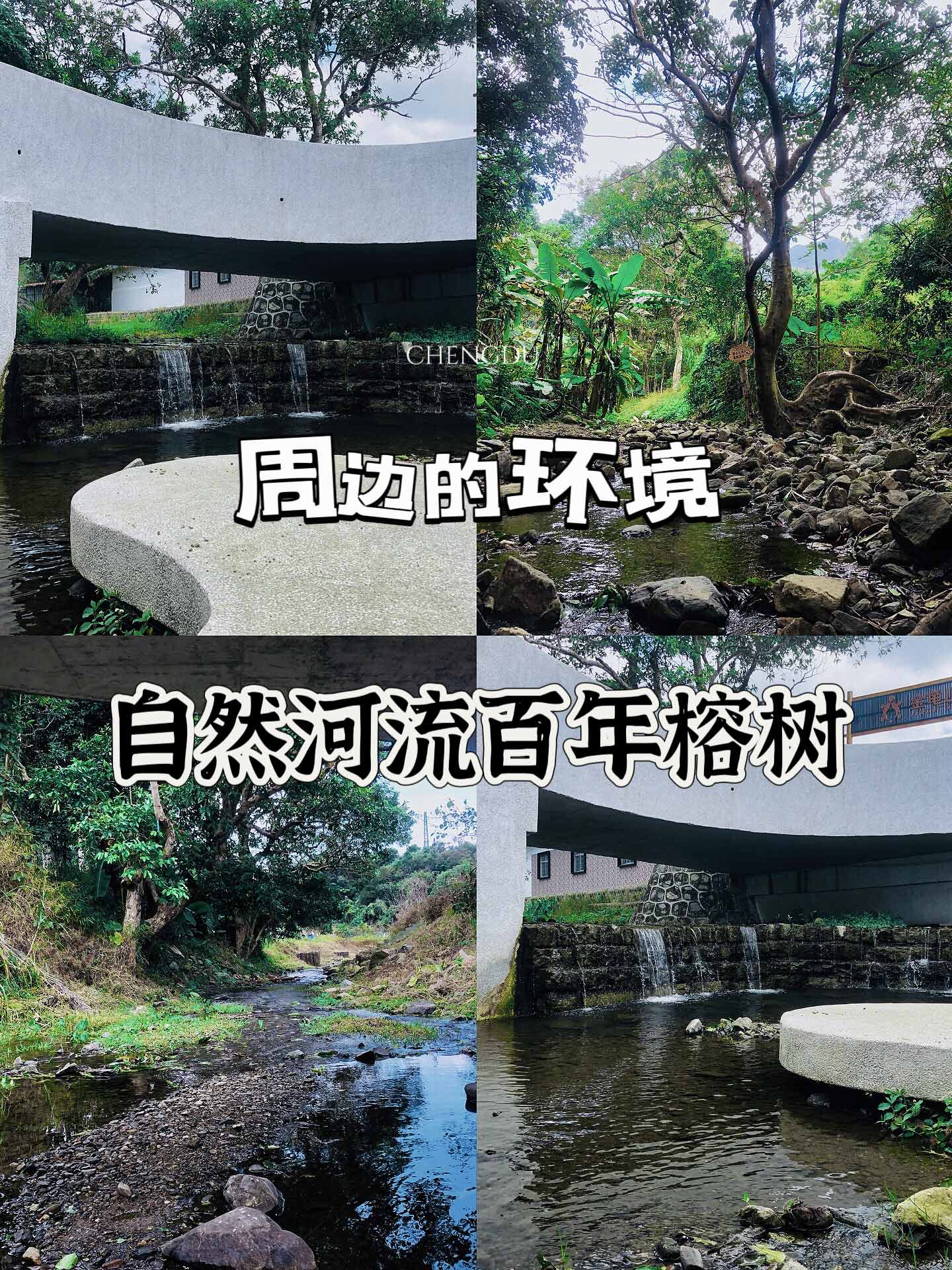 金龟围炉煮茶